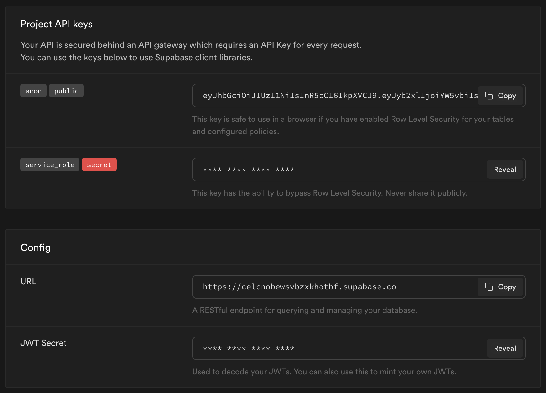 API Settings in Supabase Dashboard